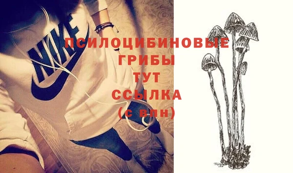 таблы Абаза
