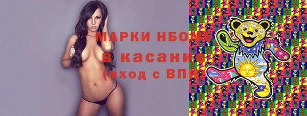 индика Алзамай